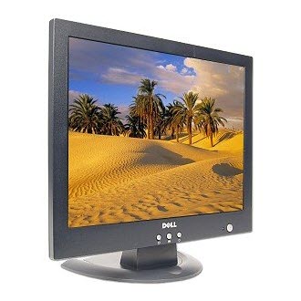Dell E151FPp 15 inch LCD Monitor